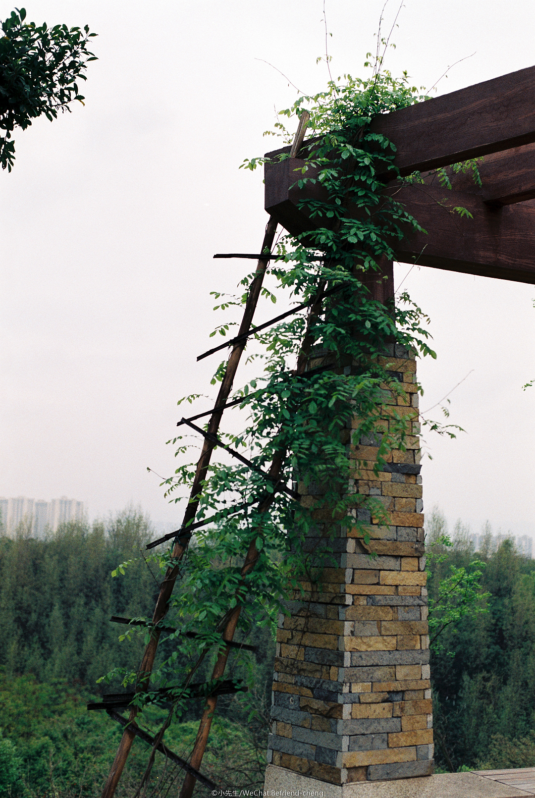 富士C200彩色负片试拍