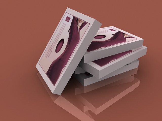 包装盒 内衣包装盒3D max效果