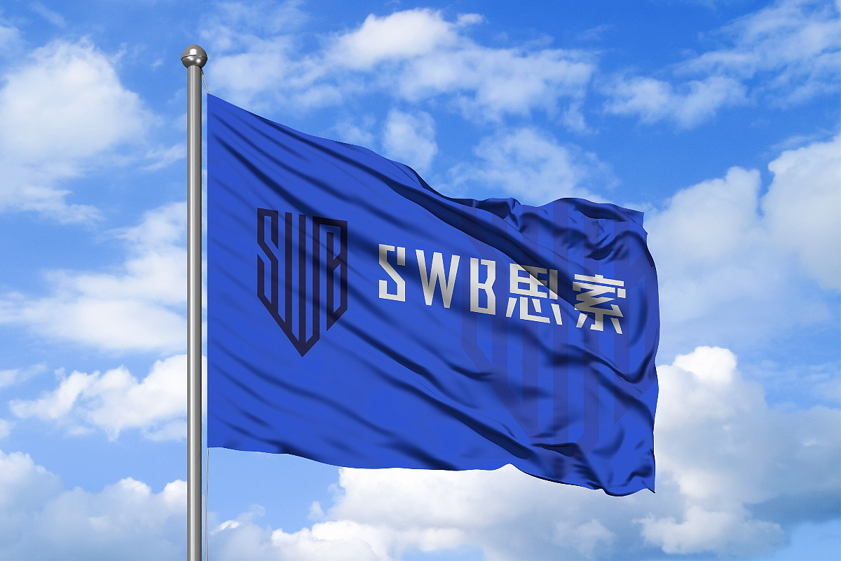 【品牌】思索品牌升级 | 科技