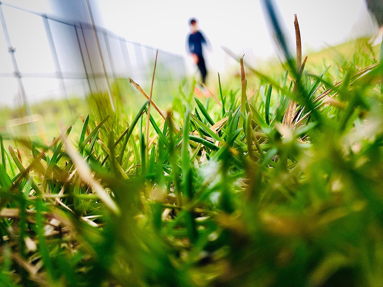 心中无字，且与春风坐一坐……（图ZMjA0NTMyNzA0） - 人文/纪实摄影 - 站酷设计师vivian乔原创素材 - 站酷ZCOOL