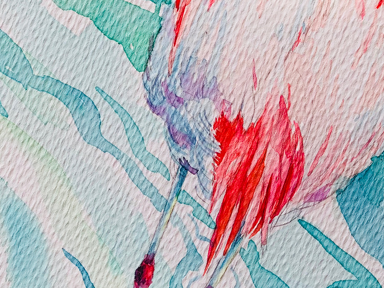 火烈鸟（图ZMTI4MjMxODE2） - 绘画 - 站酷设计师xx吹吹风原创素材 - 站酷ZCOOL