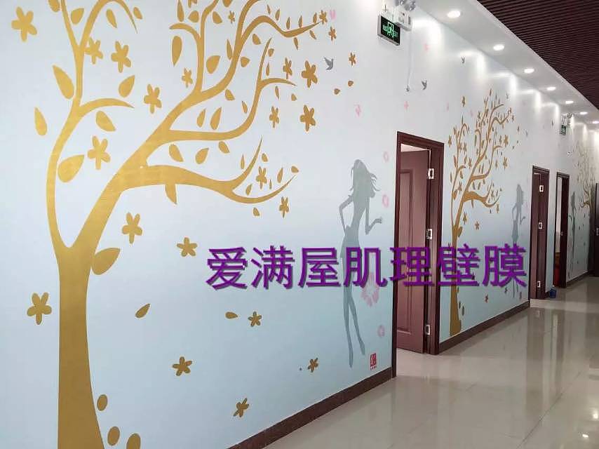 肌理壁膜品牌排行榜-进口艺术涂料厂家