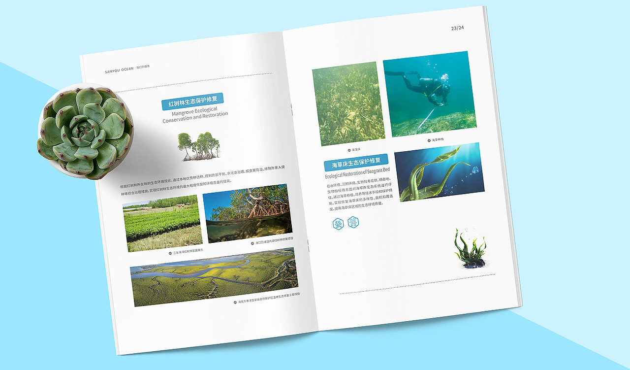 画册排版（图ZMTg2MjA1NTI0） - 书籍/画册 - 站酷设计师善禾原创素材 - 站酷ZCOOL