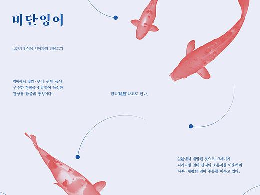 The poster: Koi / 这是关于鲤鱼的海报。