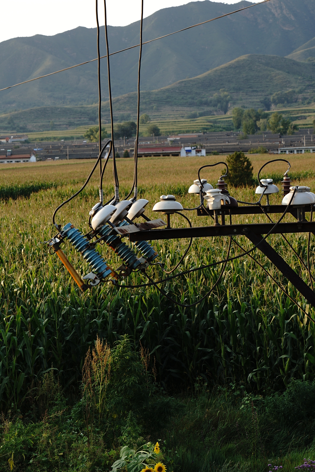 【2019·记录生活】农村老家（图ZMjQxOTUwMjQ0） - 风光摄影 - 站酷设计师席振凯原创素材 - 站酷ZCOOL