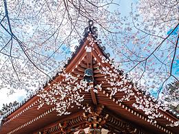 真场景