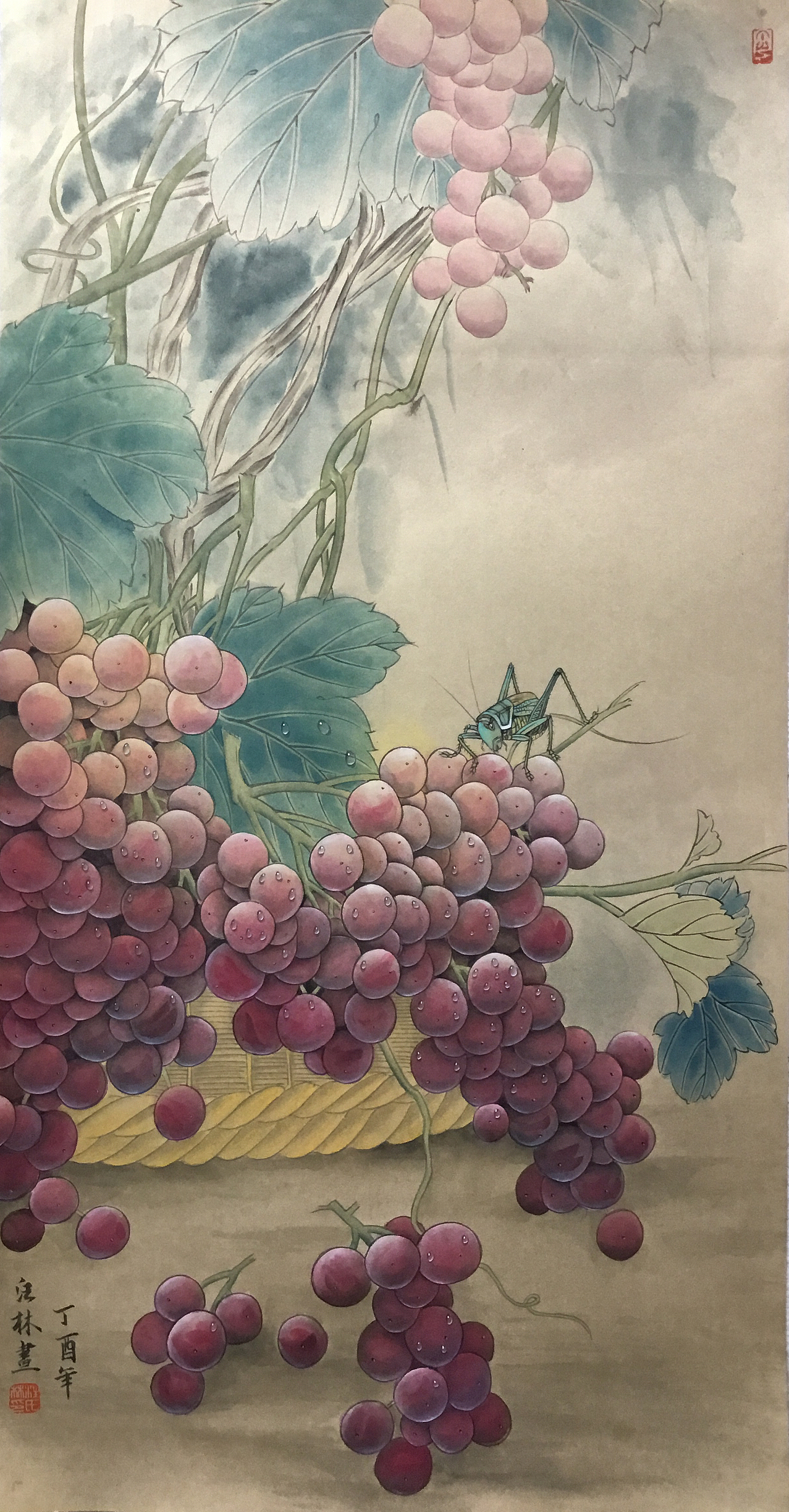 汪林工笔画葡萄