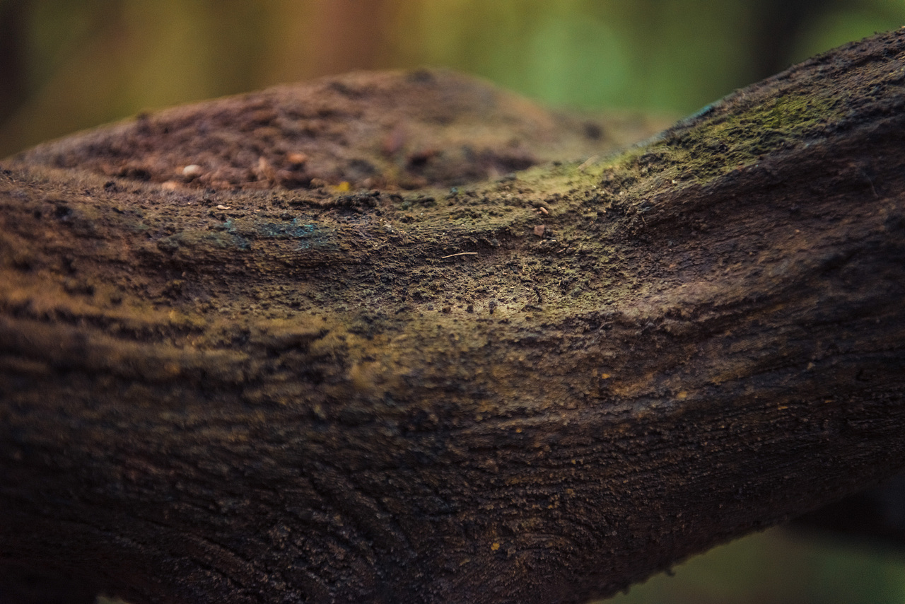 全国摄影大赛参赛作品