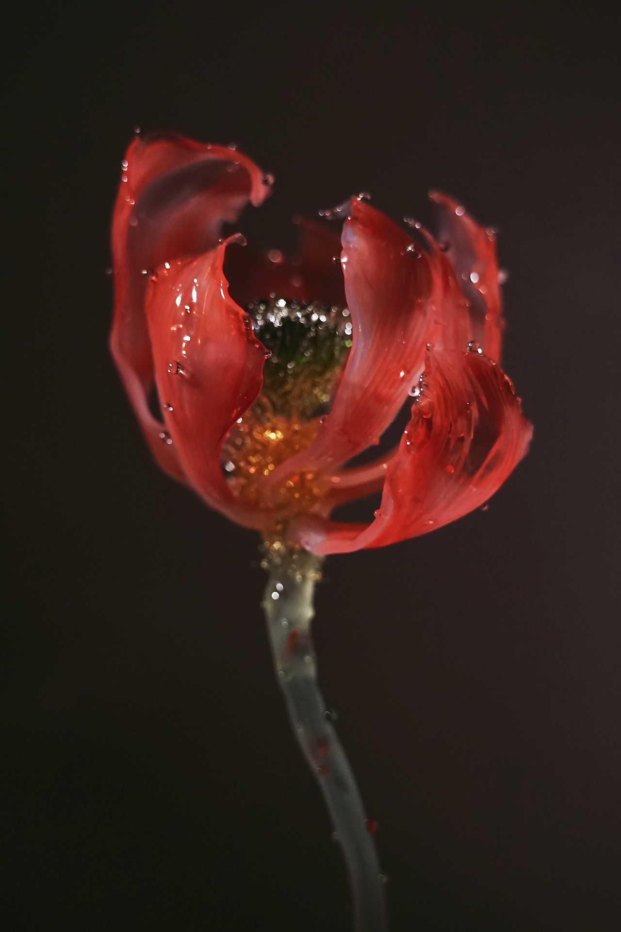 琉璃手作，《荷韵》（图ZMzQ3OTE5NzAw） - 工艺品设计 - 站酷设计师夜莺琉璃原创素材 - 站酷ZCOOL