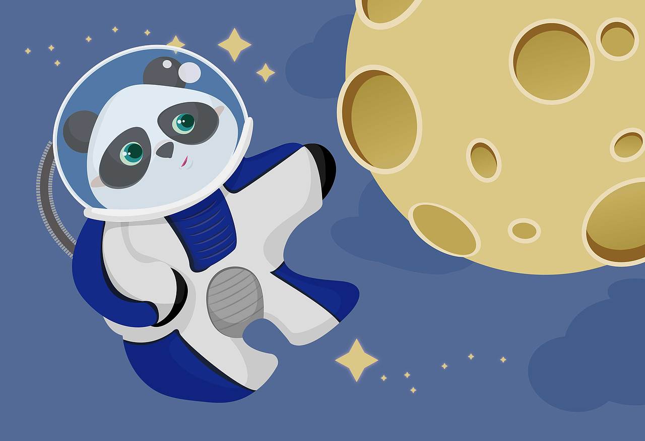 yoyo look 变变变——panda（图ZNjYwNTc4OTI=） - IP形象 - 站酷设计师gumona原创素材 - 站酷ZCOOL