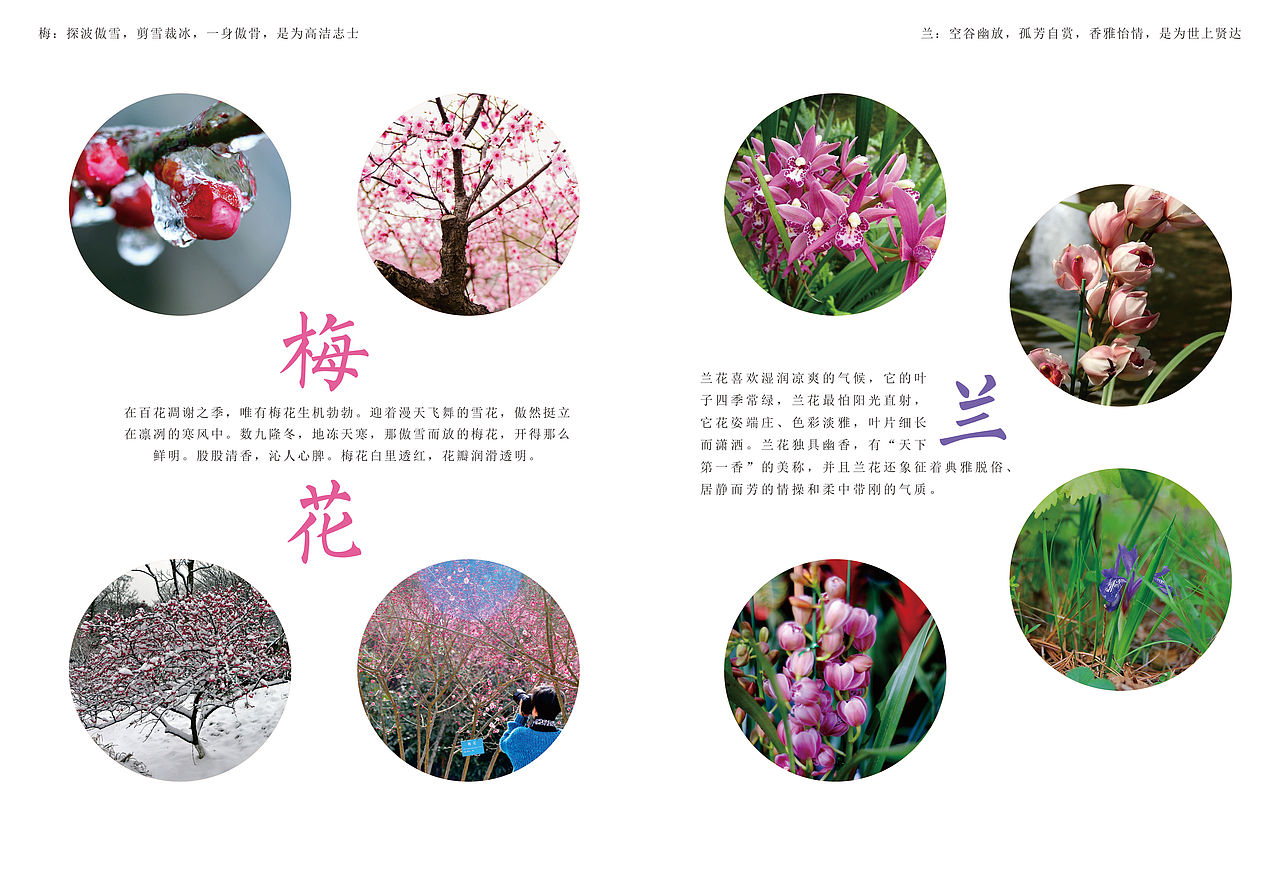 个人旅游画册