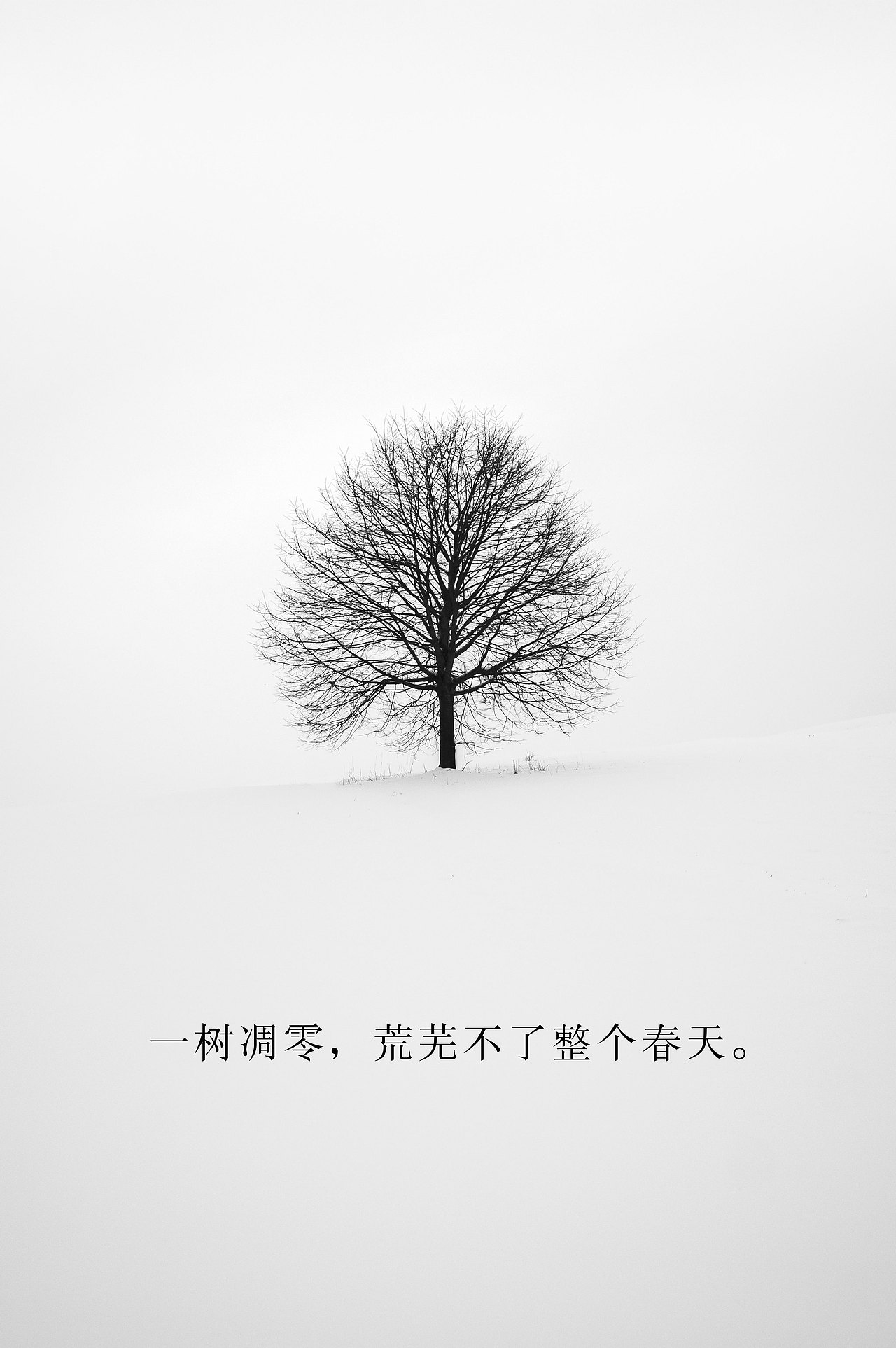 正能量励志海报