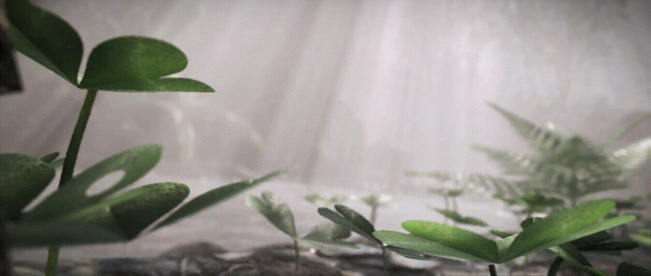 Misty Forest-Animation(图ZMjMwMTE4OTU2) - 动画/影视 - 站酷设计师ZixiIceyy原创素材 - 站酷ZCOOL