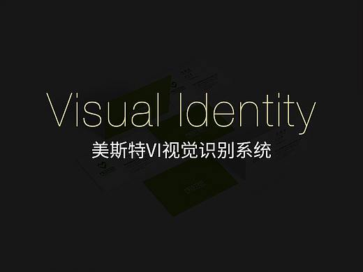 美斯特VI手册
