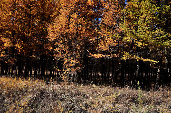10月自驾内蒙游简单小游记（图ZODA4NDAwOA==） - 风光摄影 - 站酷设计师明原创素材 - 站酷ZCOOL
