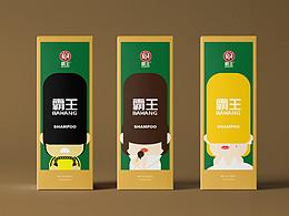 霸王洗發(fā)水包裝練習