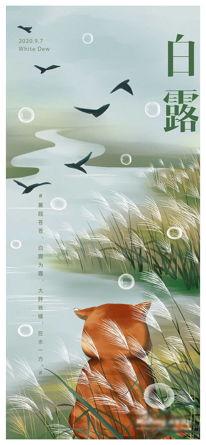 24节气 小暑 大暑 立秋 处暑 白露 秋分 寒露（图ZMjI3OTQ0NzUy） - 商业插画 - 站酷设计师板子君君原创素材 - 站酷ZCOOL
