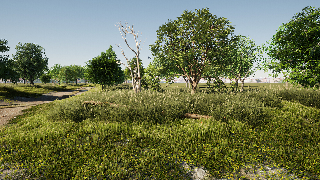 速写_Twinmotion乡村场景