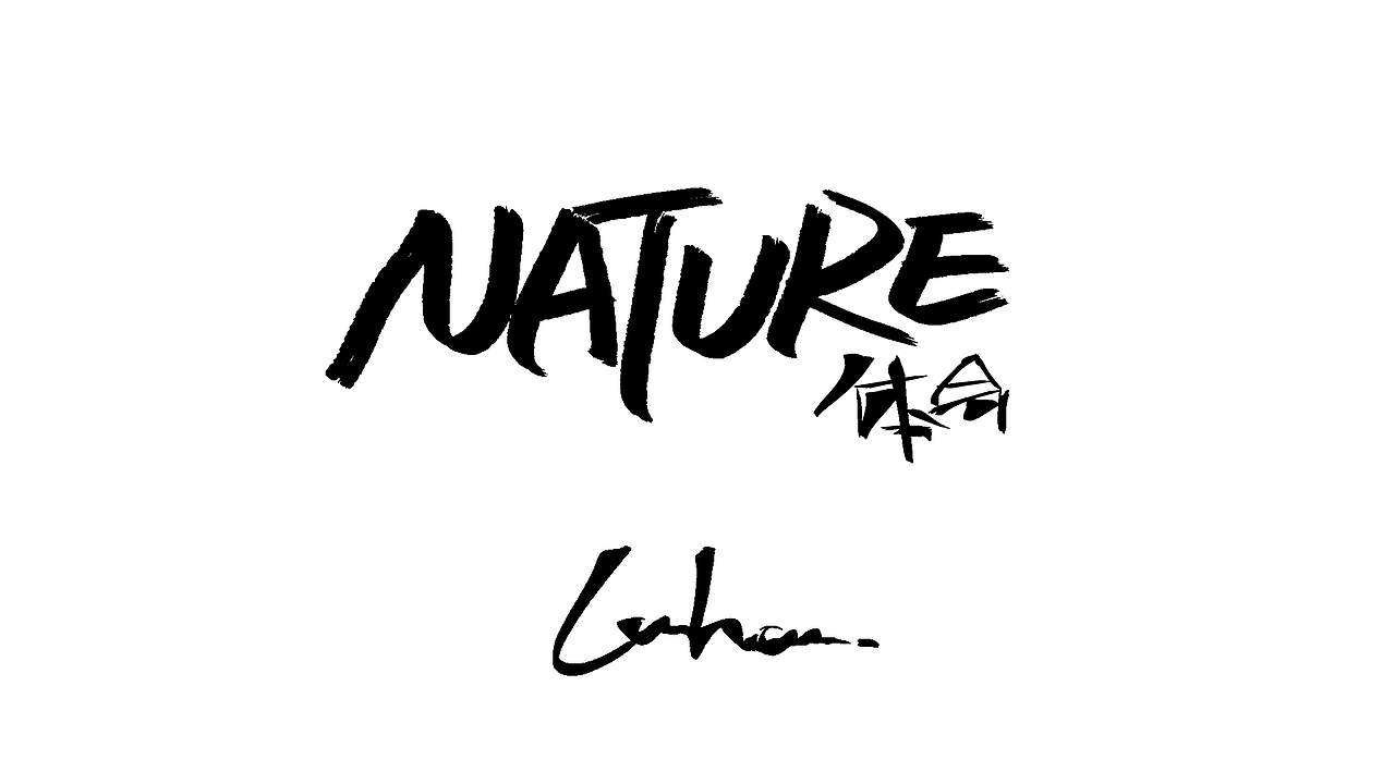 鹿晗nature标题手写字体设计风华秋实news