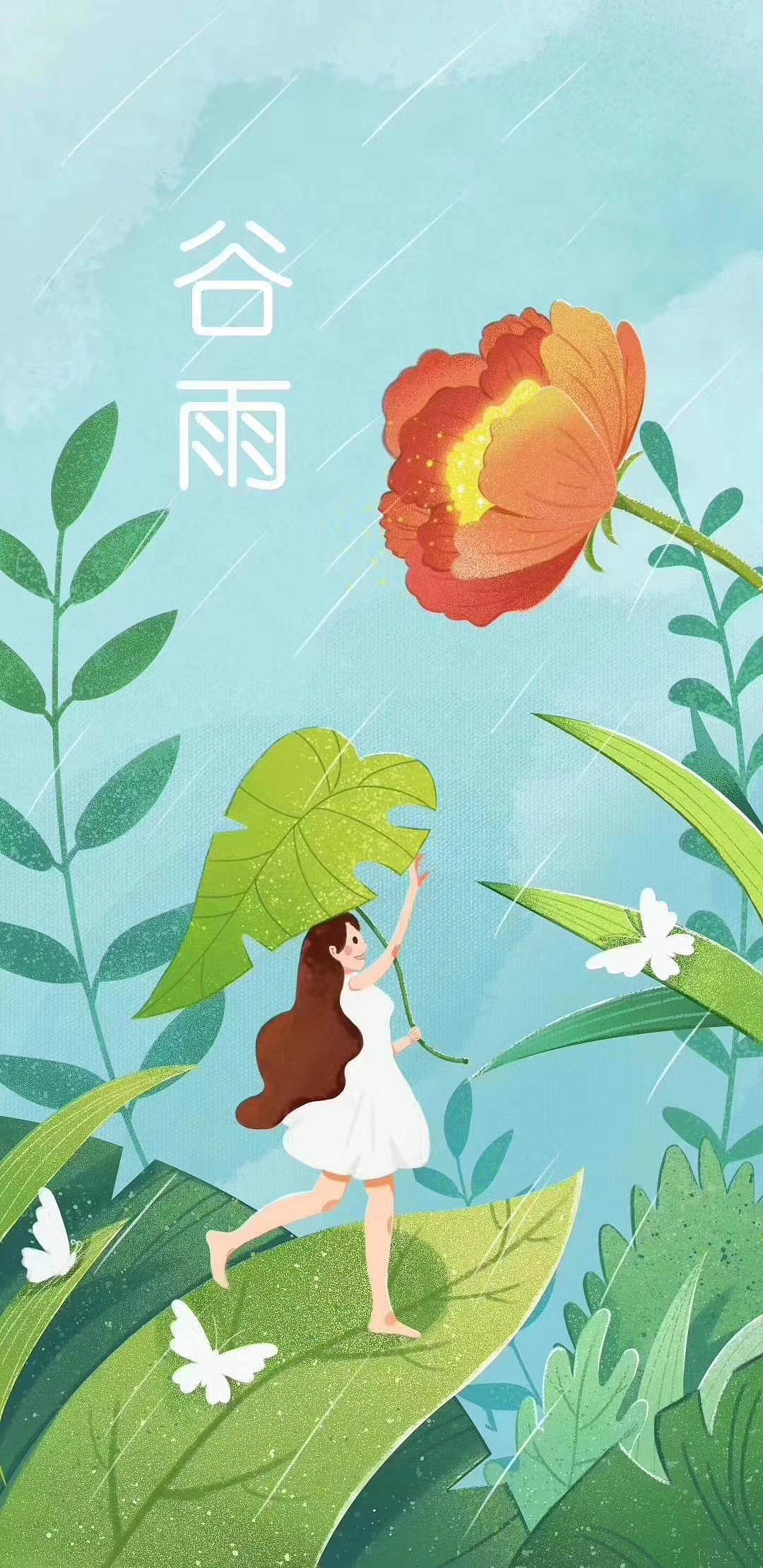 每日分享 节气插画