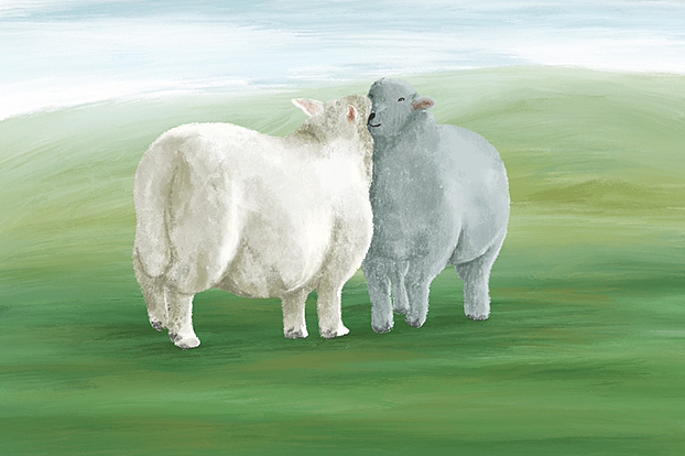 羊咩咩｜练习作（图ZMzE3ODc5NjI0） - 创作习作 - 站酷设计师艮音原创素材 - 站酷ZCOOL