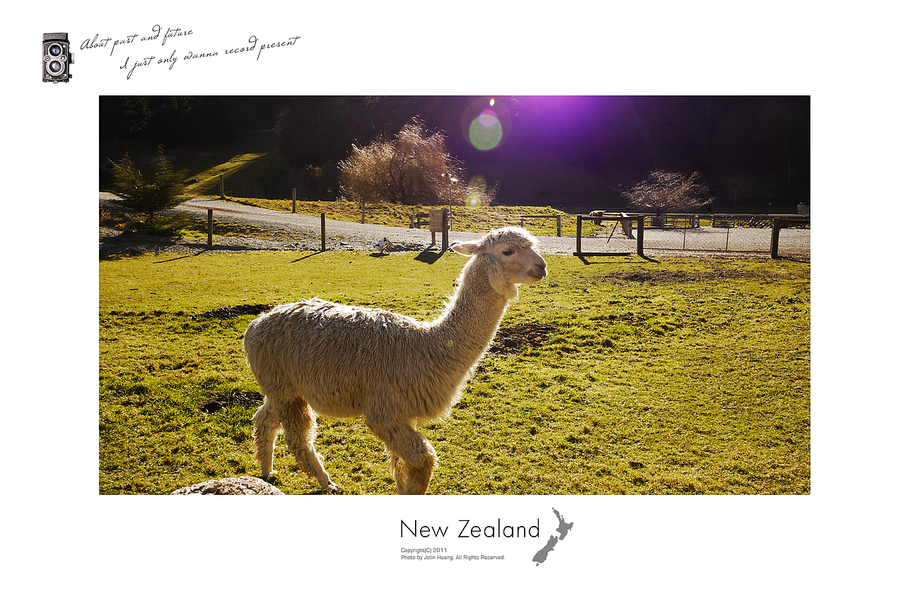 New Zealand 新西兰明信片 part2（图ZNzgyNTM0OA==） - 风光摄影 - 站酷设计师jolinivy原创素材 - 站酷ZCOOL