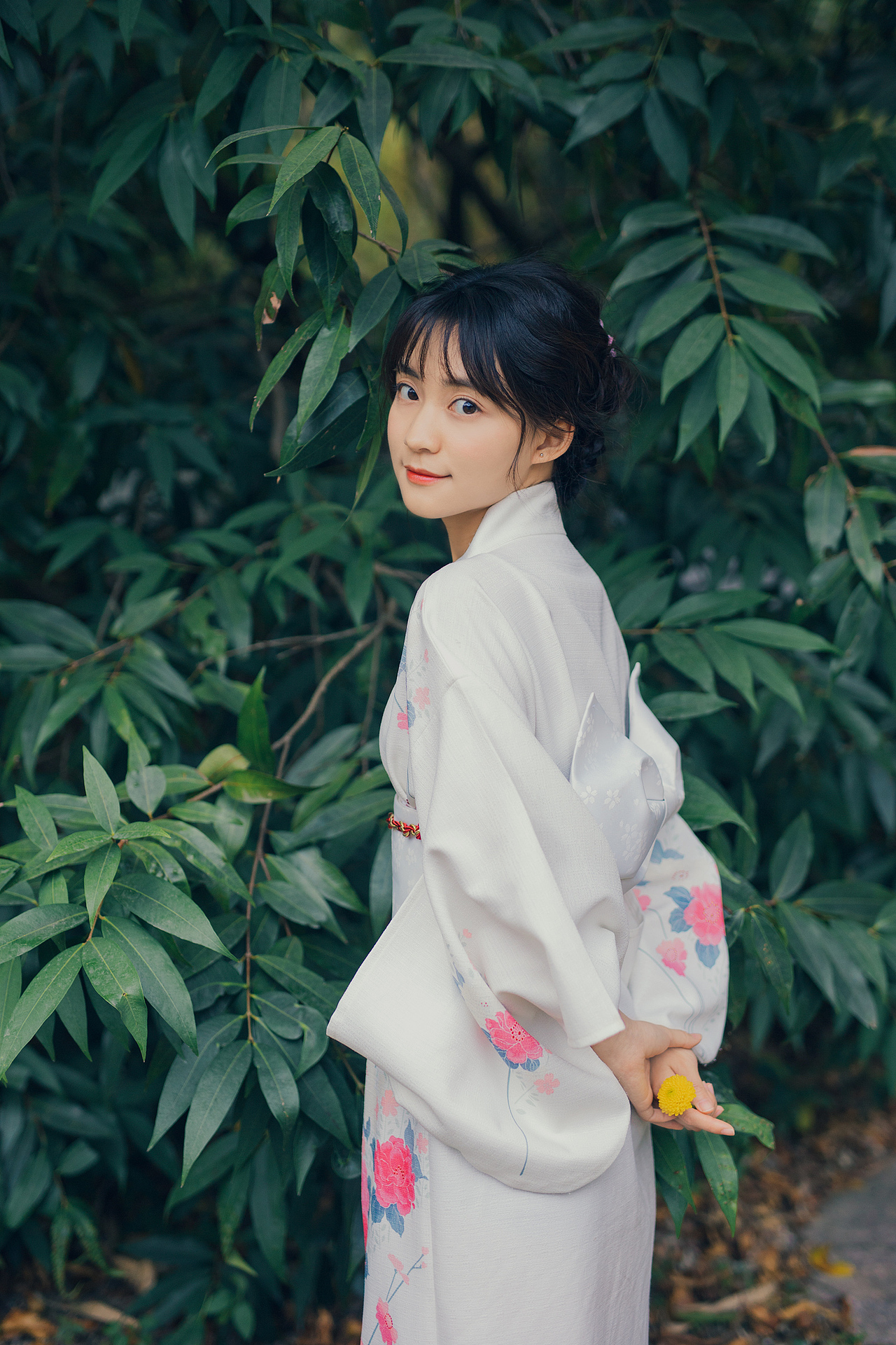 心怀阳光,时而安静,时而快乐