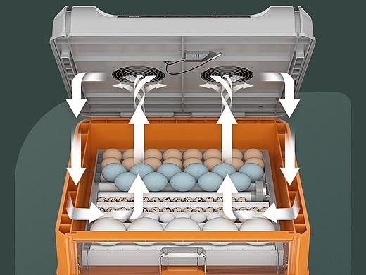 新款多层孵化机 孵化器抽拉详情设计