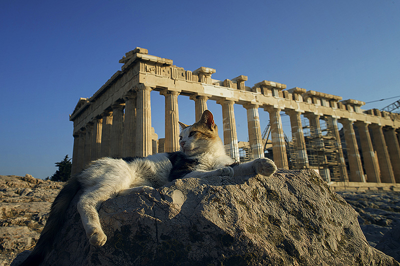 Athens 雅典半日行(图ZMTA4MDMxMjQ=) - 风光摄影 - 站酷设计师郑心海原创素材 - 站酷ZCOOL