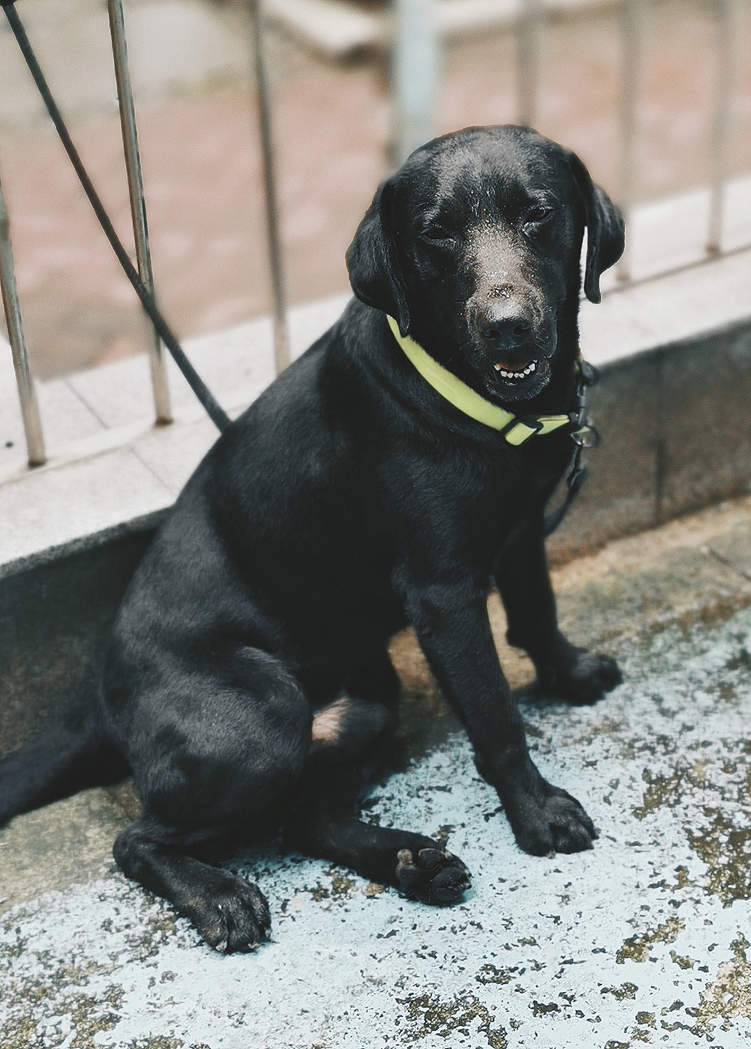 广州西村 - 那些值得记录的人和事