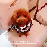 云云曰的头像