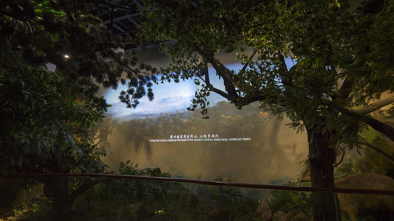 李时珍纪念馆现场拍摄（图ZMjQ3NDEzNjg4） - 展陈设计 - 站酷设计师秋叶数字原创素材 - 站酷ZCOOL