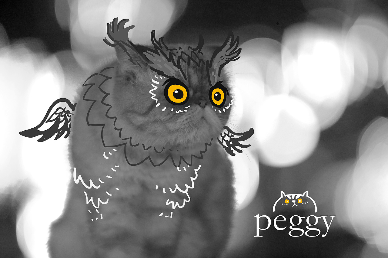 我的家的二大宝新专辑!《拜基vs反丁》~啊哈哈最新弹~