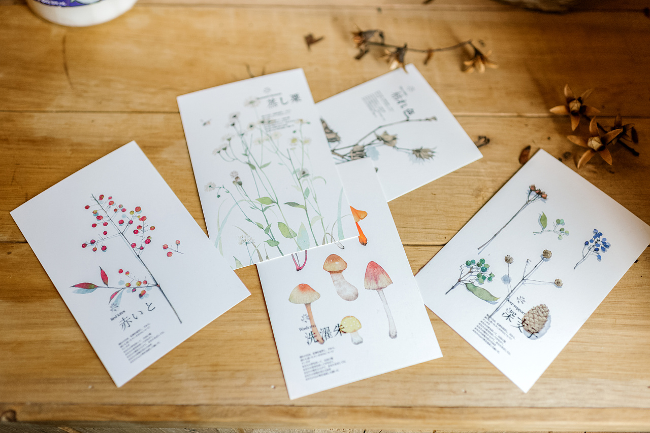 《自然赠物》拾光pook生活系明信片