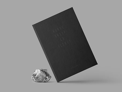 平面设计（地产类）