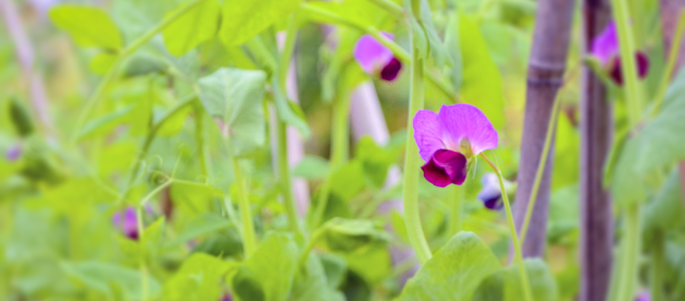 吾乃一餅的個(gè)人主頁（封面預(yù)覽） - 主頁封面設(shè)置 - 站酷設(shè)計(jì)師吾乃一餅原創(chuàng)素材 - 站酷ZCOOL