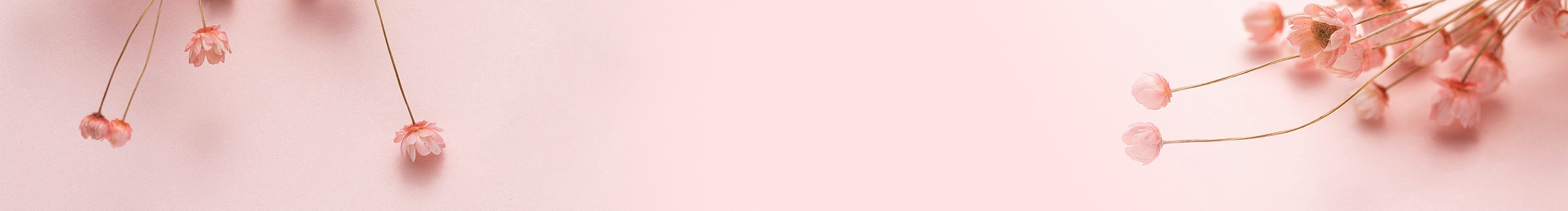 何以朱颜的个人主页（封面预览） - 主页封面设置 - 站酷设计师何以朱颜原创素材 - 站酷ZCOOL