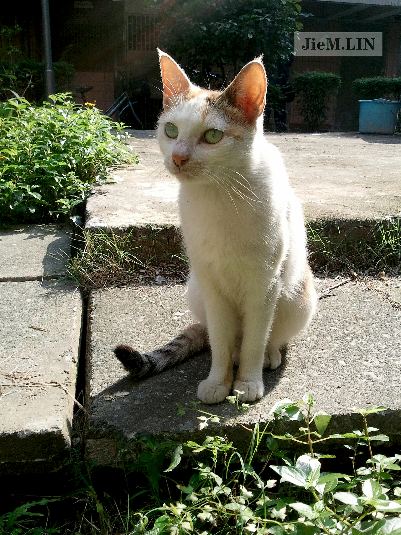 难得拍到张正脸~虽然不是很正面