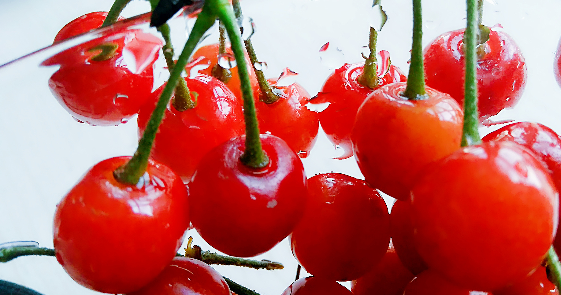 樱桃|摄影|其他摄影|双鱼座的海王星 - 原创作品 - 站酷 (zcool)