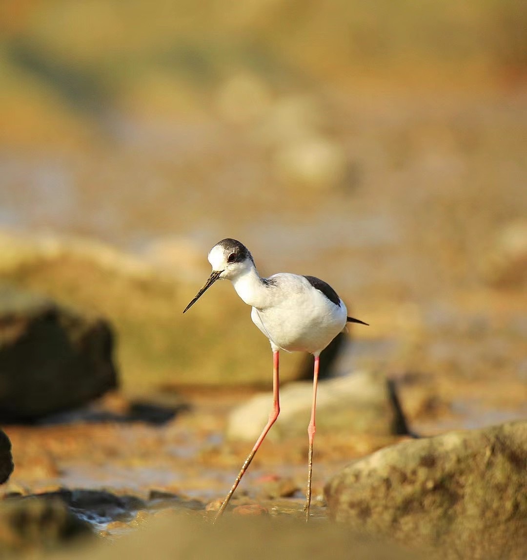 4月艳阳天（图ZMjk4NTIwNjg0） - 风光摄影 - 站酷设计师Z52262726原创素材 - 站酷ZCOOL
