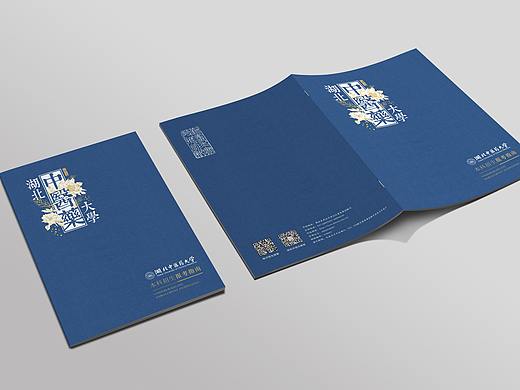 中医药招生手册VI-1