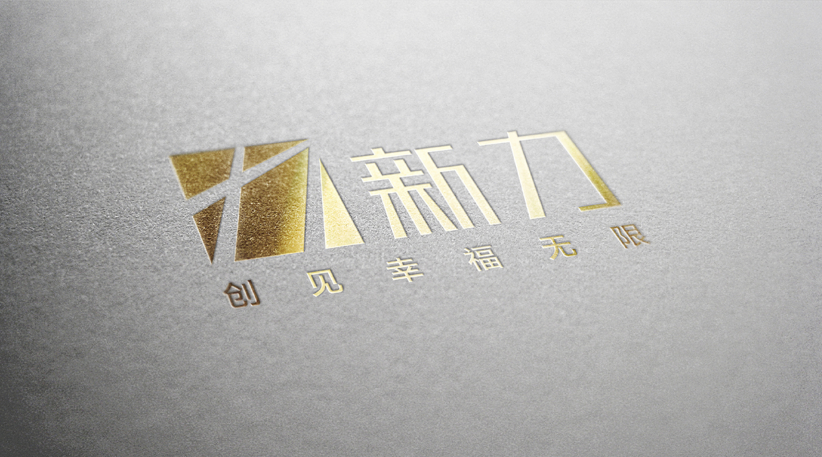 新力地产集团年度服务