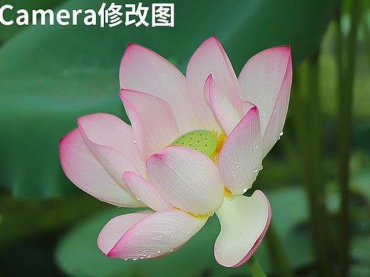 修图