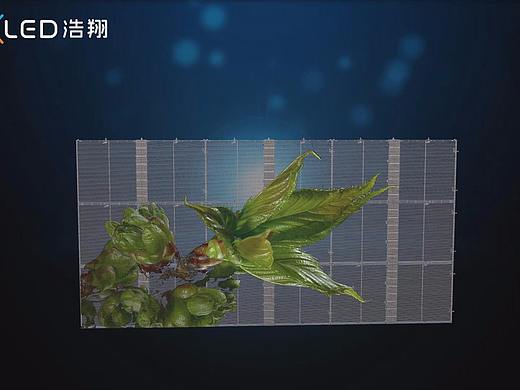 LED透明屏产品动画