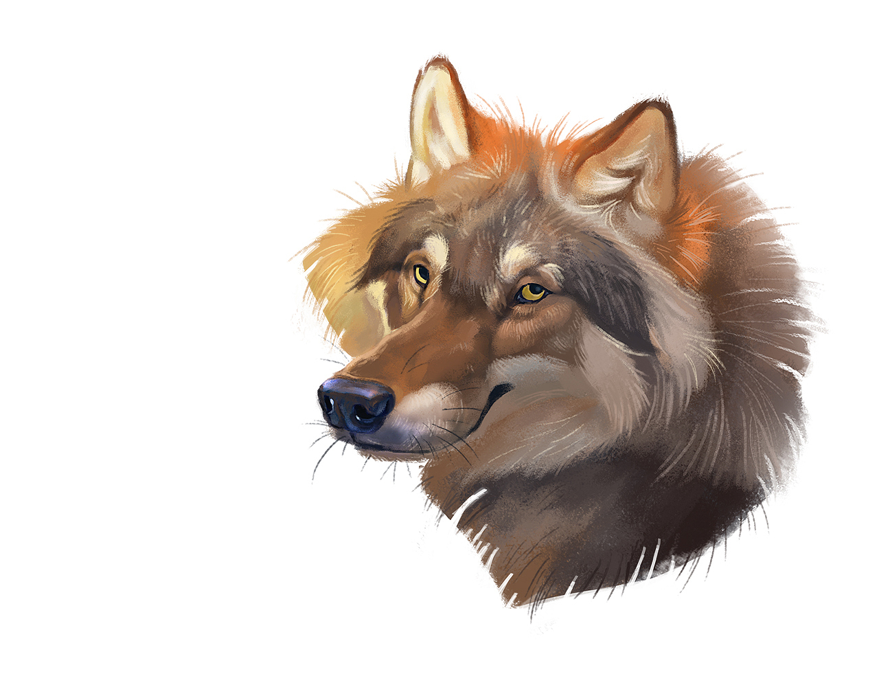 板绘初学过程 画画哦[z加油]（图ZMTI0OTE2OTc2） - 绘本 - 站酷设计师桐海星原创素材 - 站酷ZCOOL