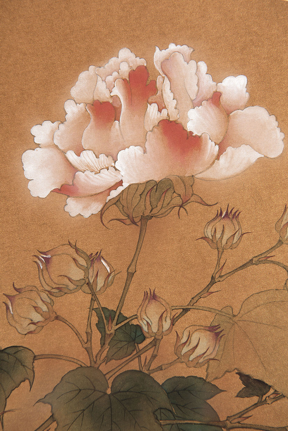 春芙蓉|纯艺术|国画|shalee122318_122 - 原创作品 - 站酷 (zcool)