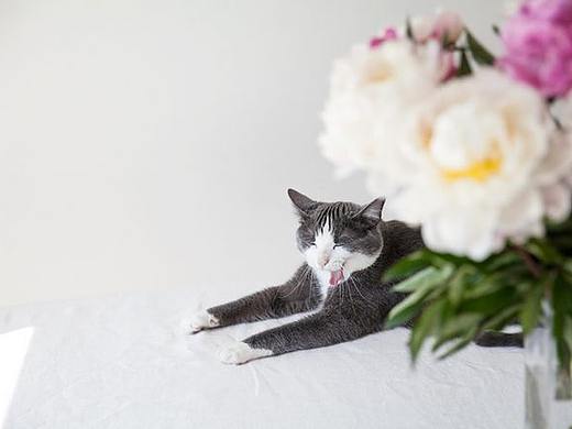 上海家具展（为客户设计的海报）