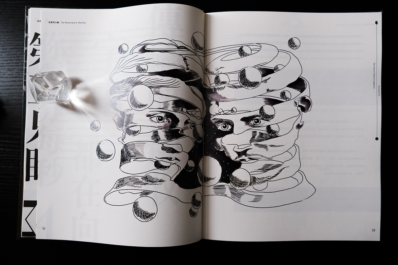 「松果启示录」书籍装帧设计 | 节选自《源场》（图ZMjQ3NDU5Nzgw） - 书籍/画册 - 站酷设计师龍柏原创素材 - 站酷ZCOOL