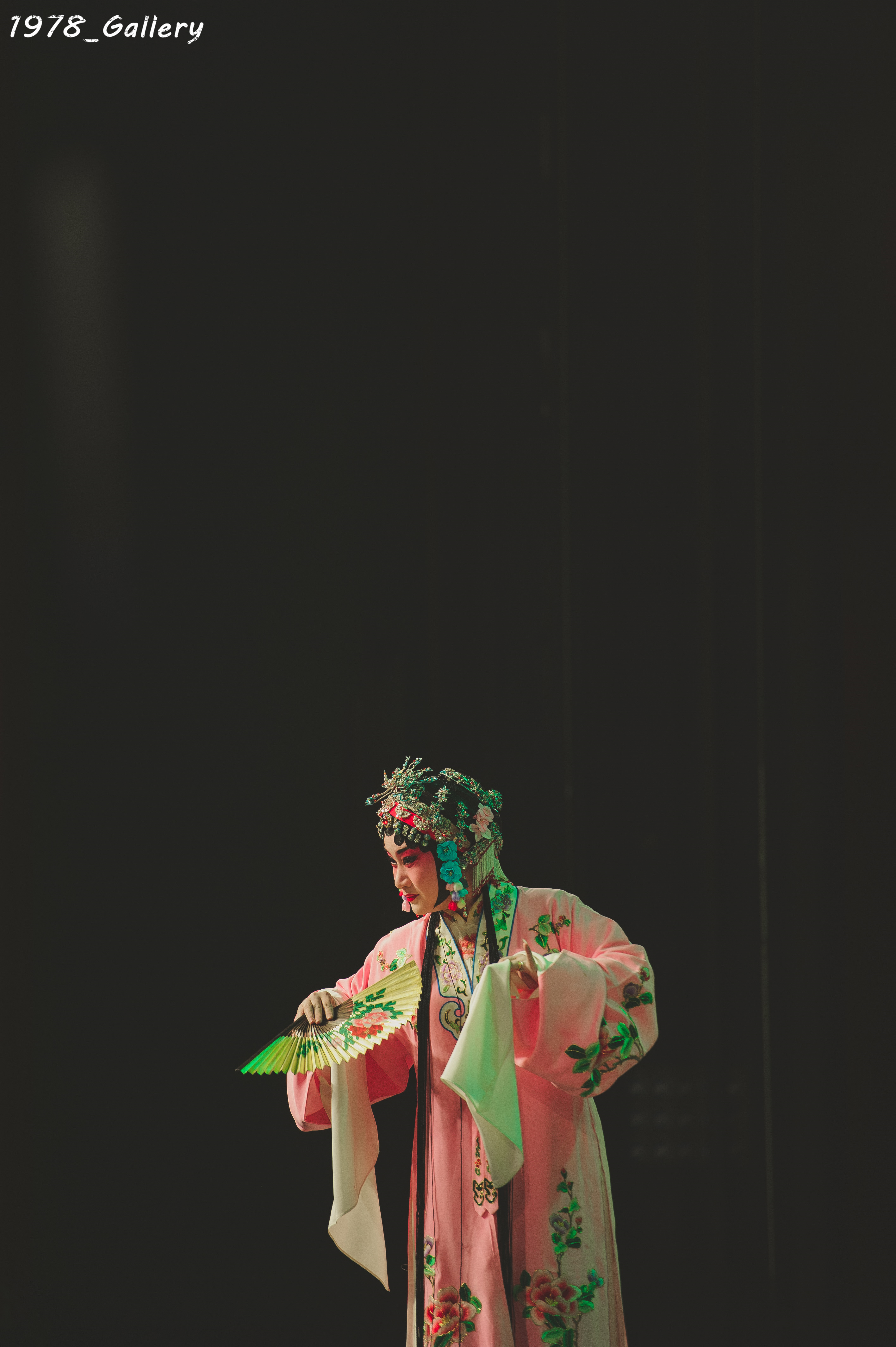 昆曲精华临川四梦之牡丹亭