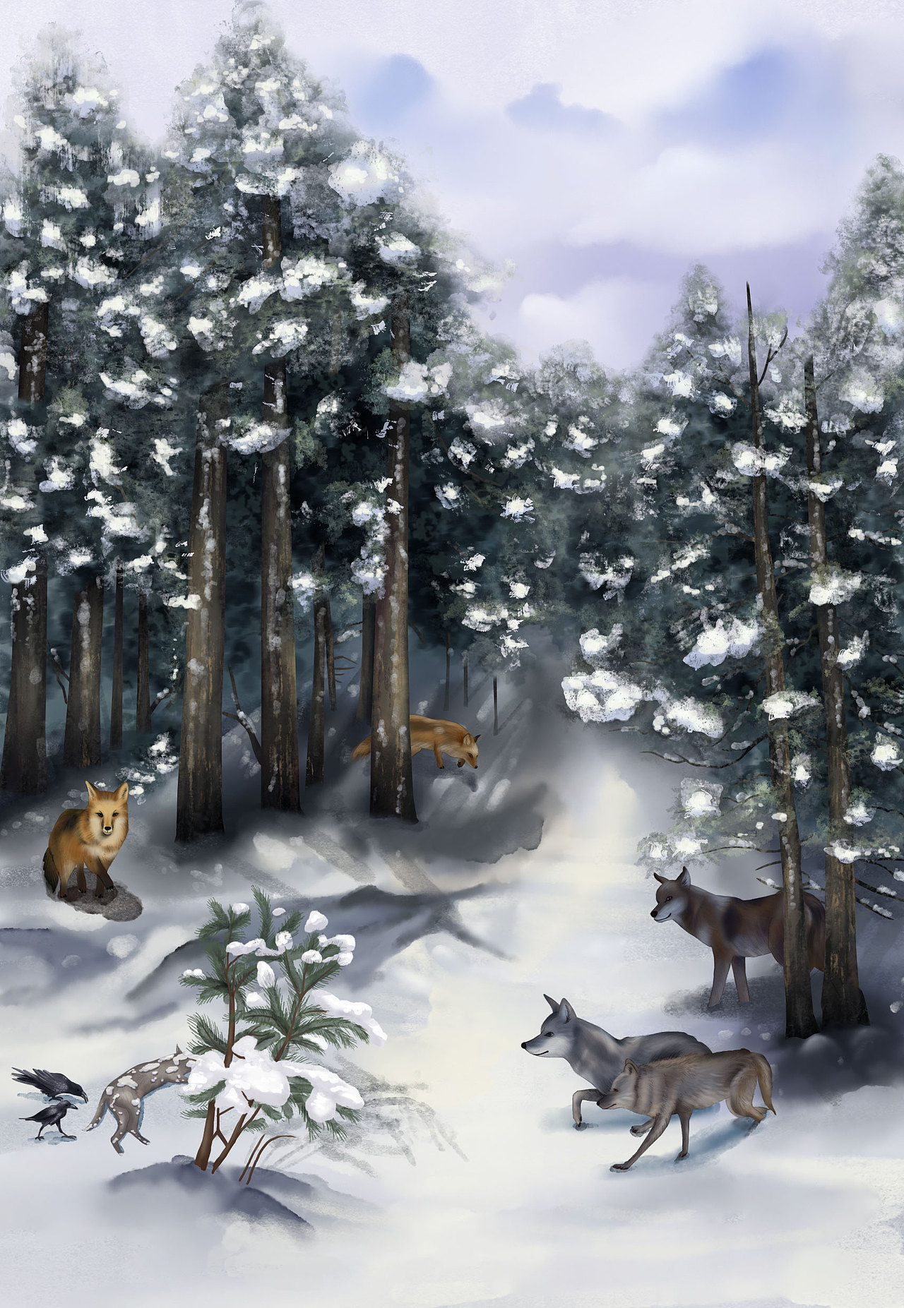 《森林报·冬》部分插图
